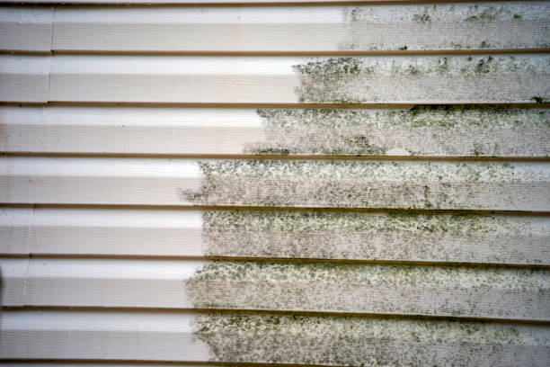 How To Choose The Right Materials for Your Siding Installation in 'Mayfair, CA